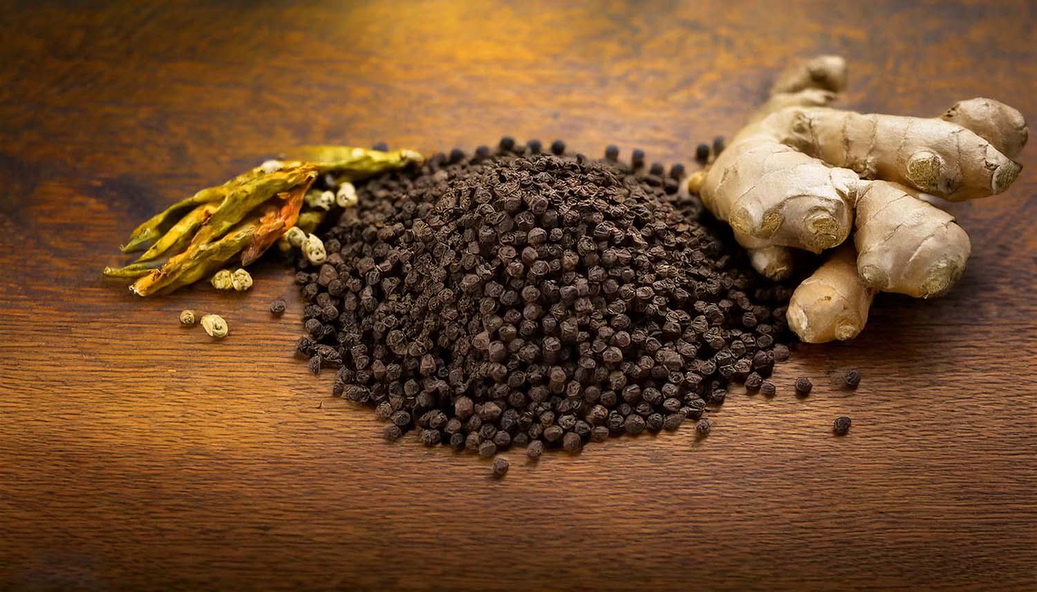 Image of the Ayurvedic herb Black Pepper (Pippali), Long Pepper (Piper longum), and Ginger
