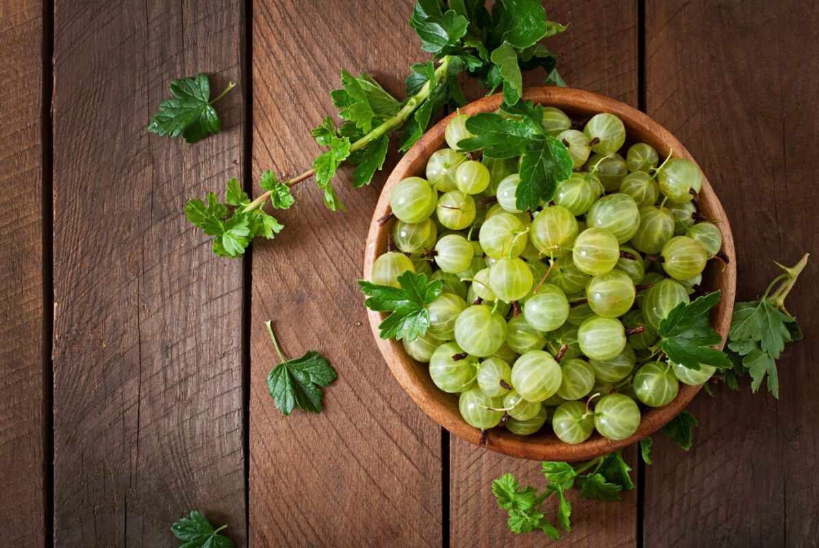 The Role of Amalaki in Ayurvedic Anti-Aging Treatments