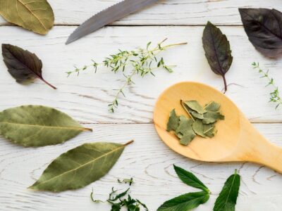 Herbal Patches for Pain and Swelling