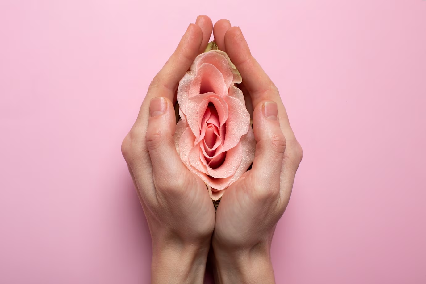 PCOS woman-holding-rose-hands-reproductive-system-visualization