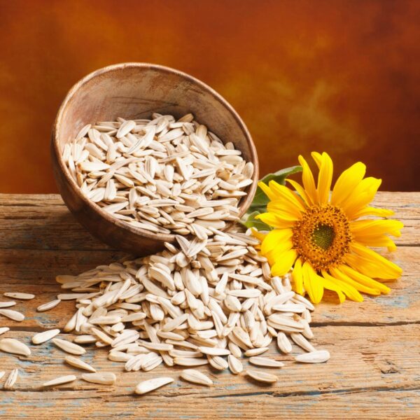Satrishi Sunflower Seed for healthy snacking