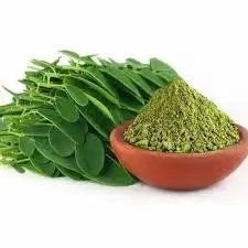moringa powder 2