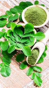 moringa