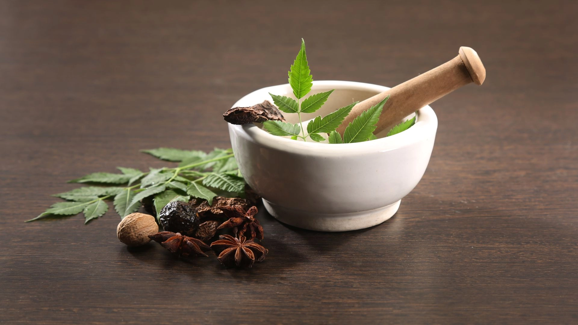 vedic herbs